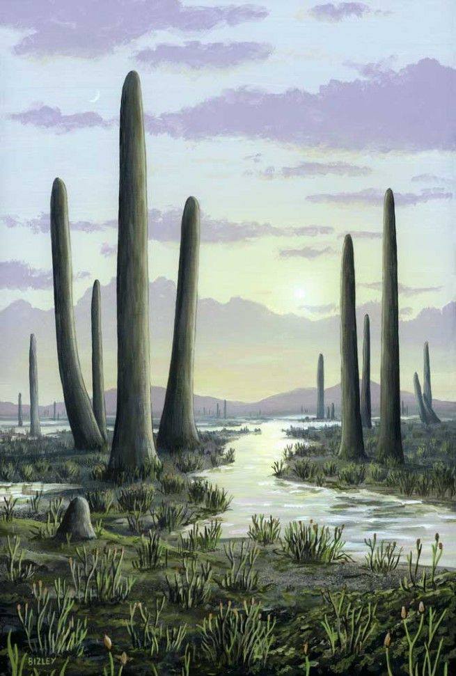 432120413_911173304351721_4011531694578376479_n.jpg