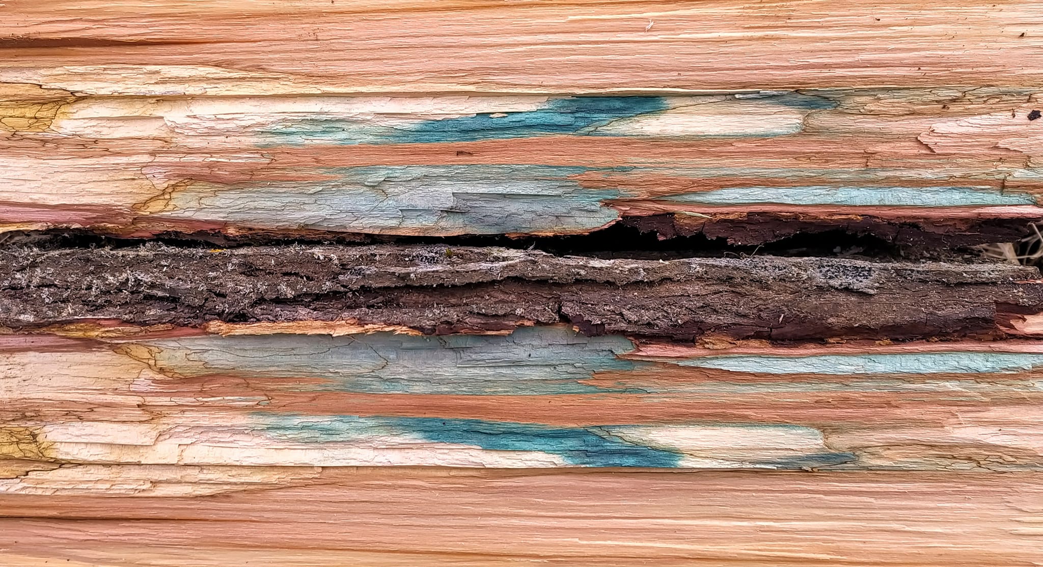 433443086_6851791934926135_8587066912829138603_n.jpg