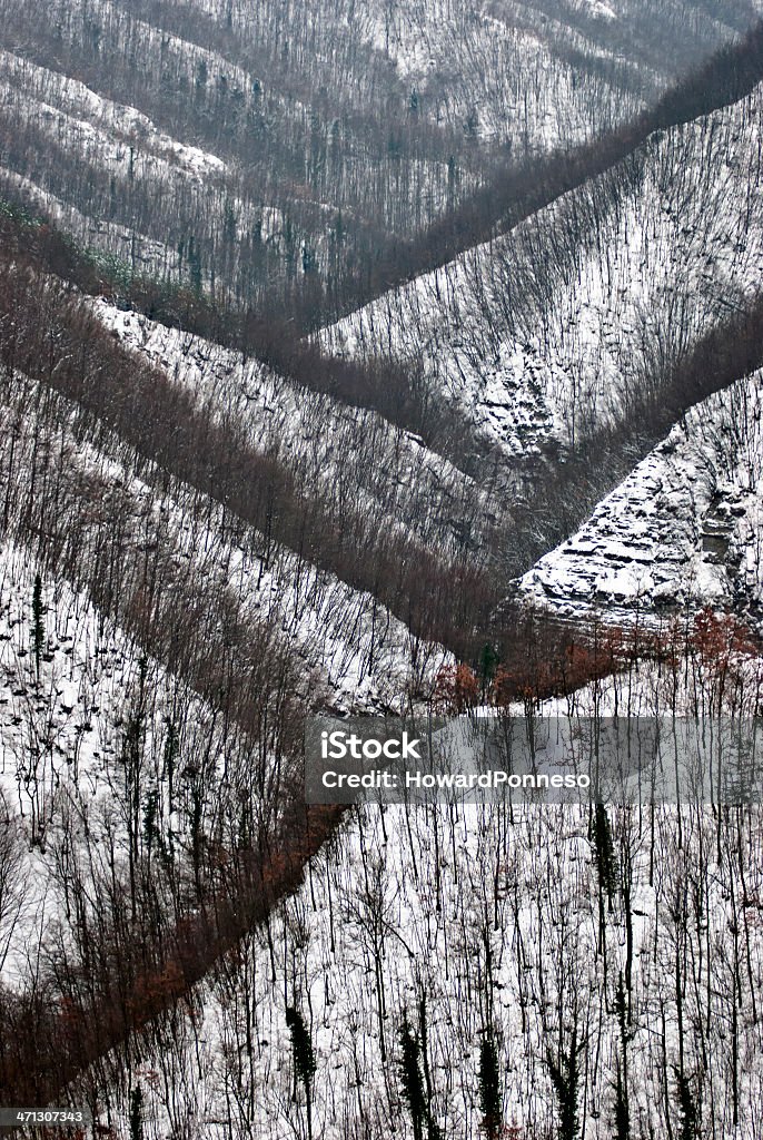 istockphoto-471307343-1024x1024.jpg