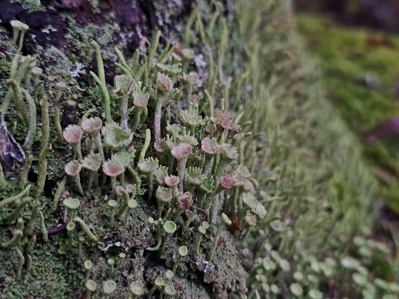6001624.jpg
