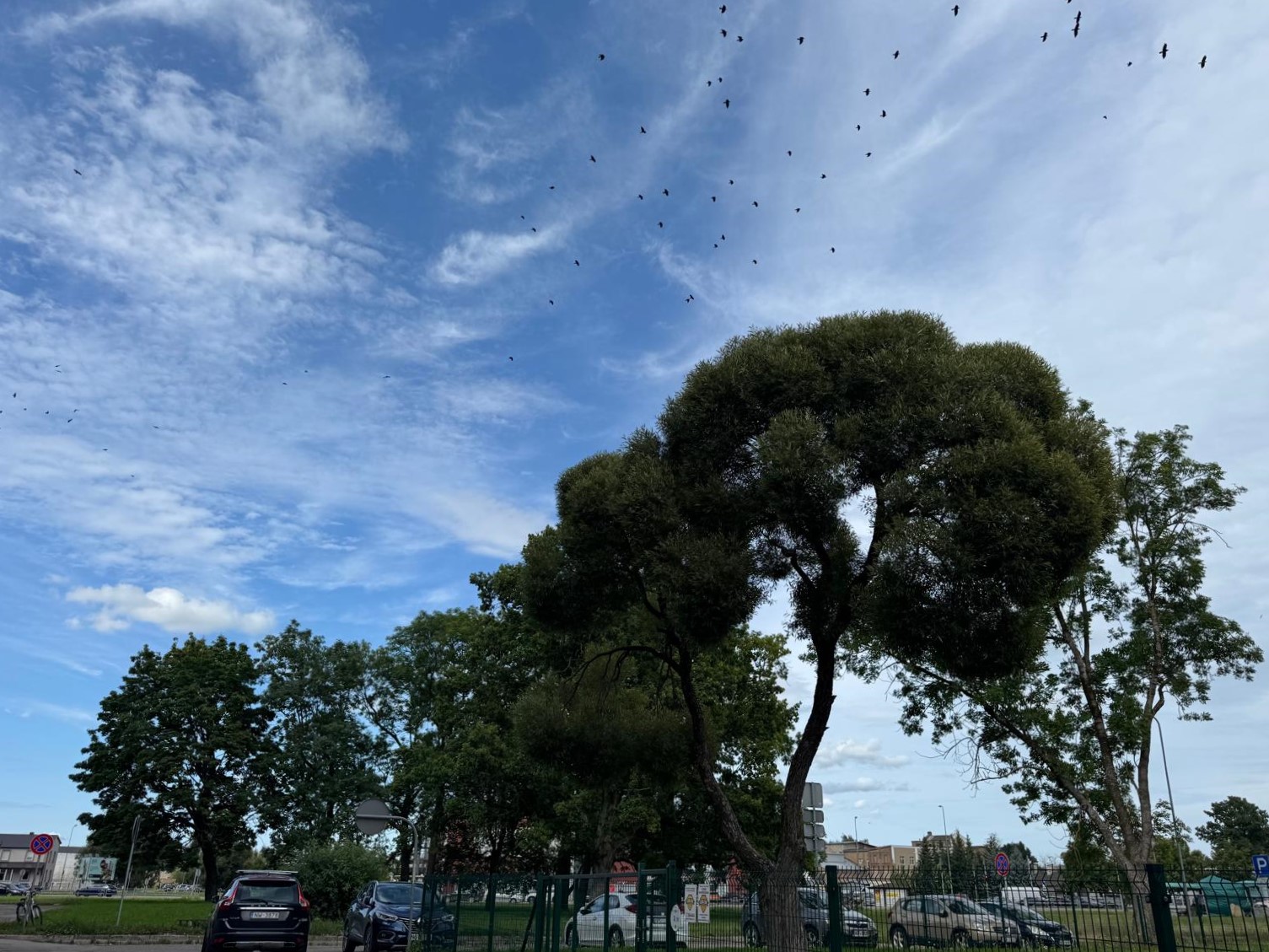 19_08.jpg