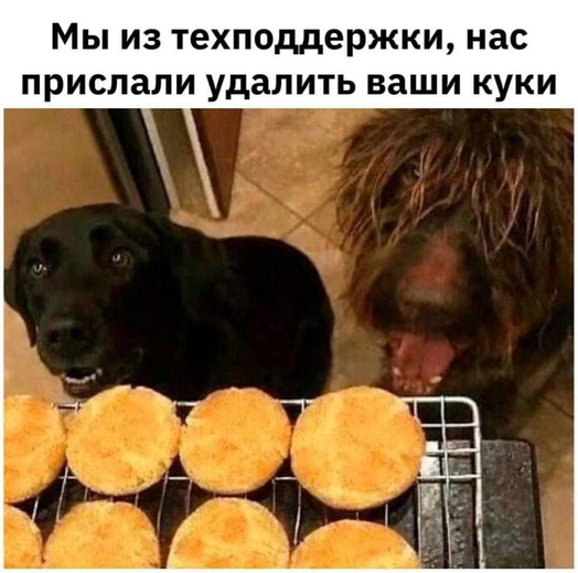 Снимок экрана 2026-10-03 100206.png