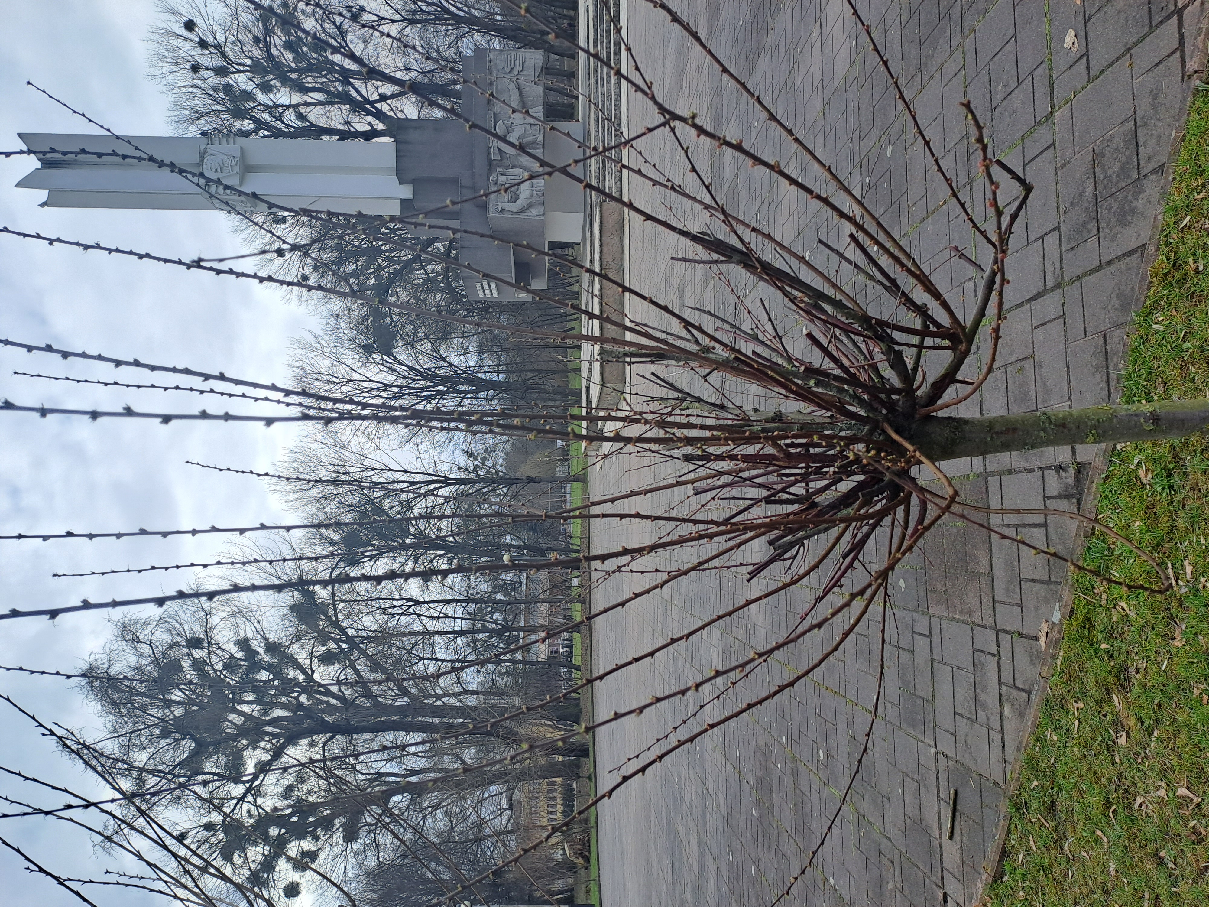 20230325_142112.jpg