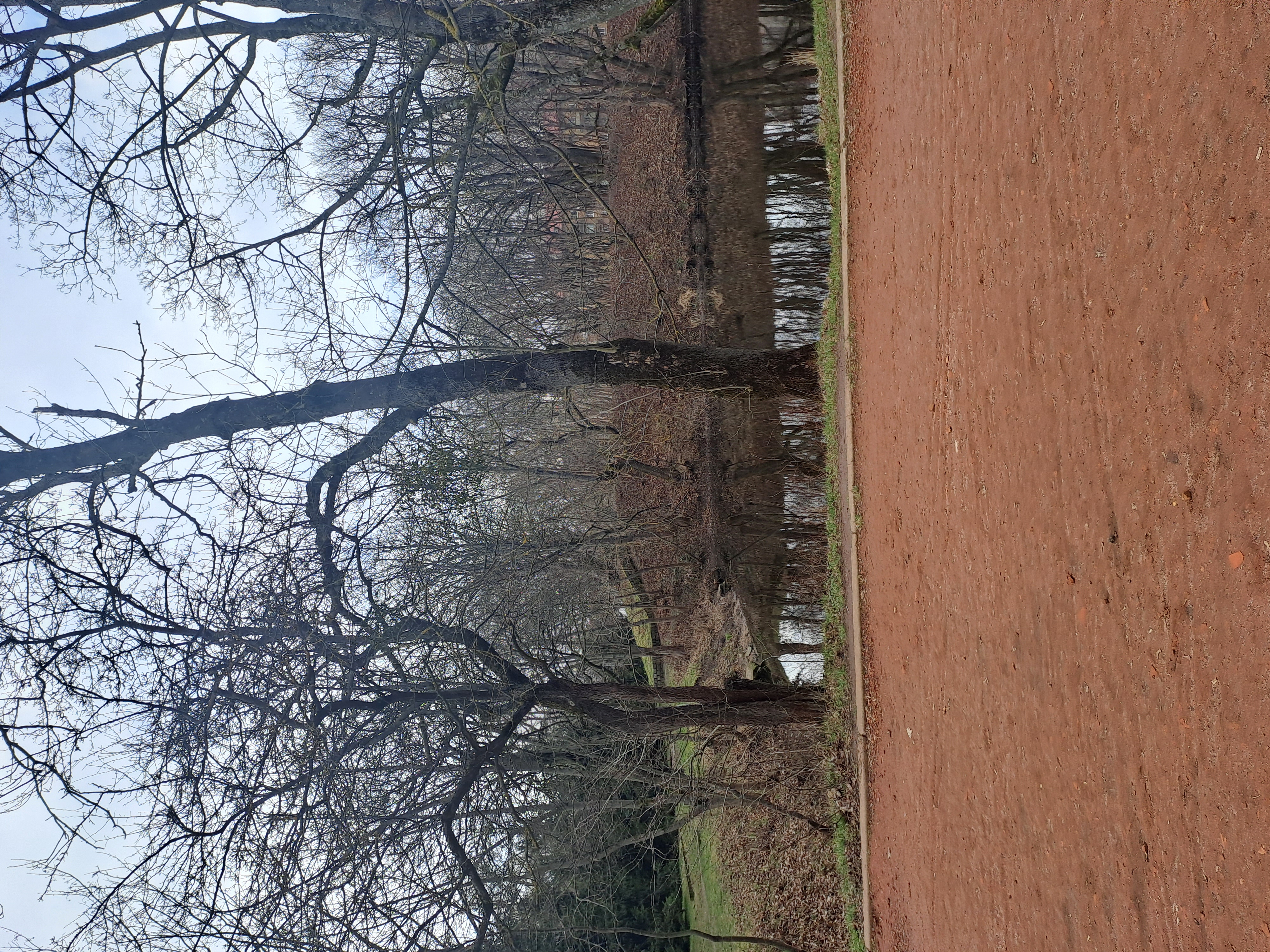 20230325_142244.jpg