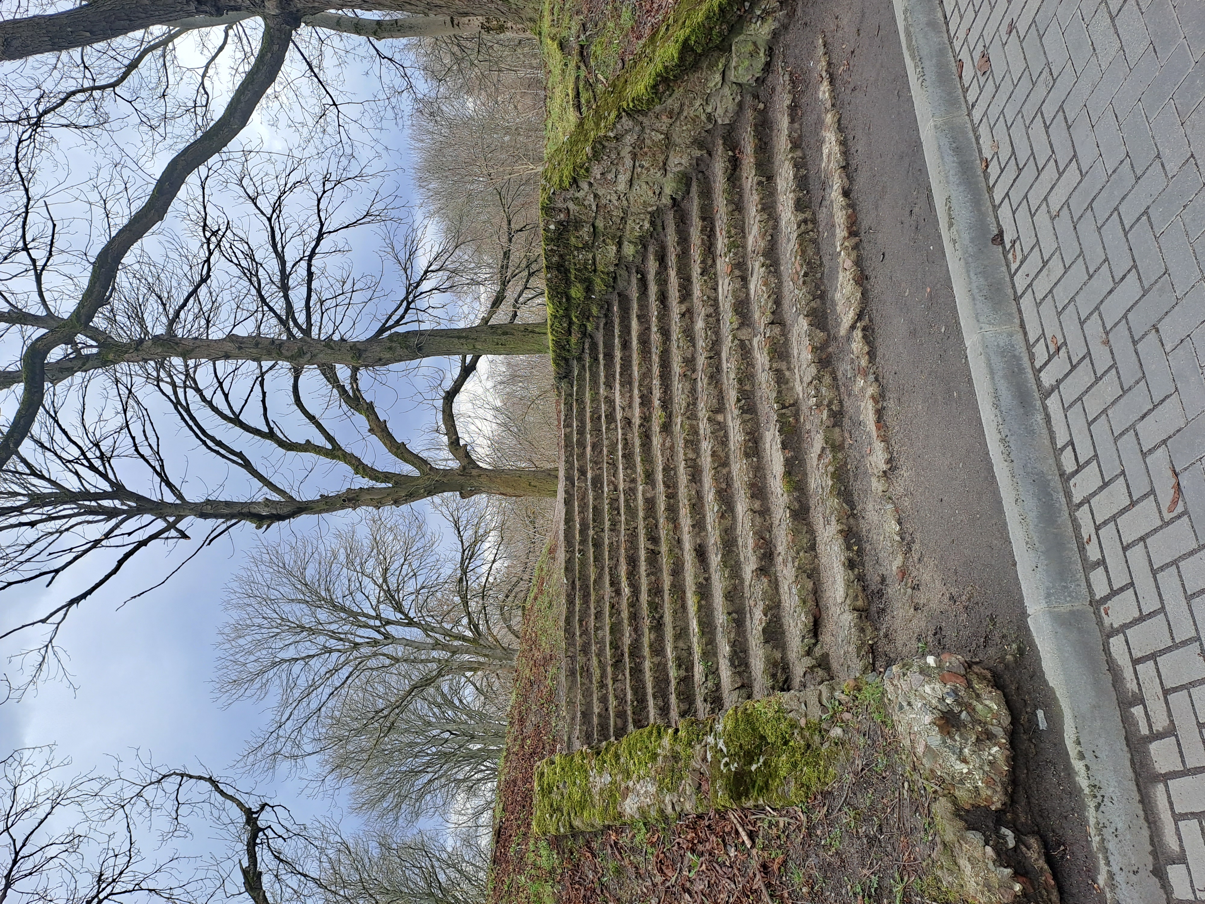 20230325_142923.jpg